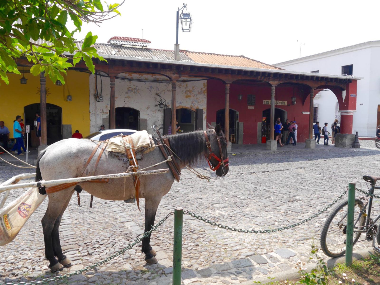 antigua-guatemala-placa-central2