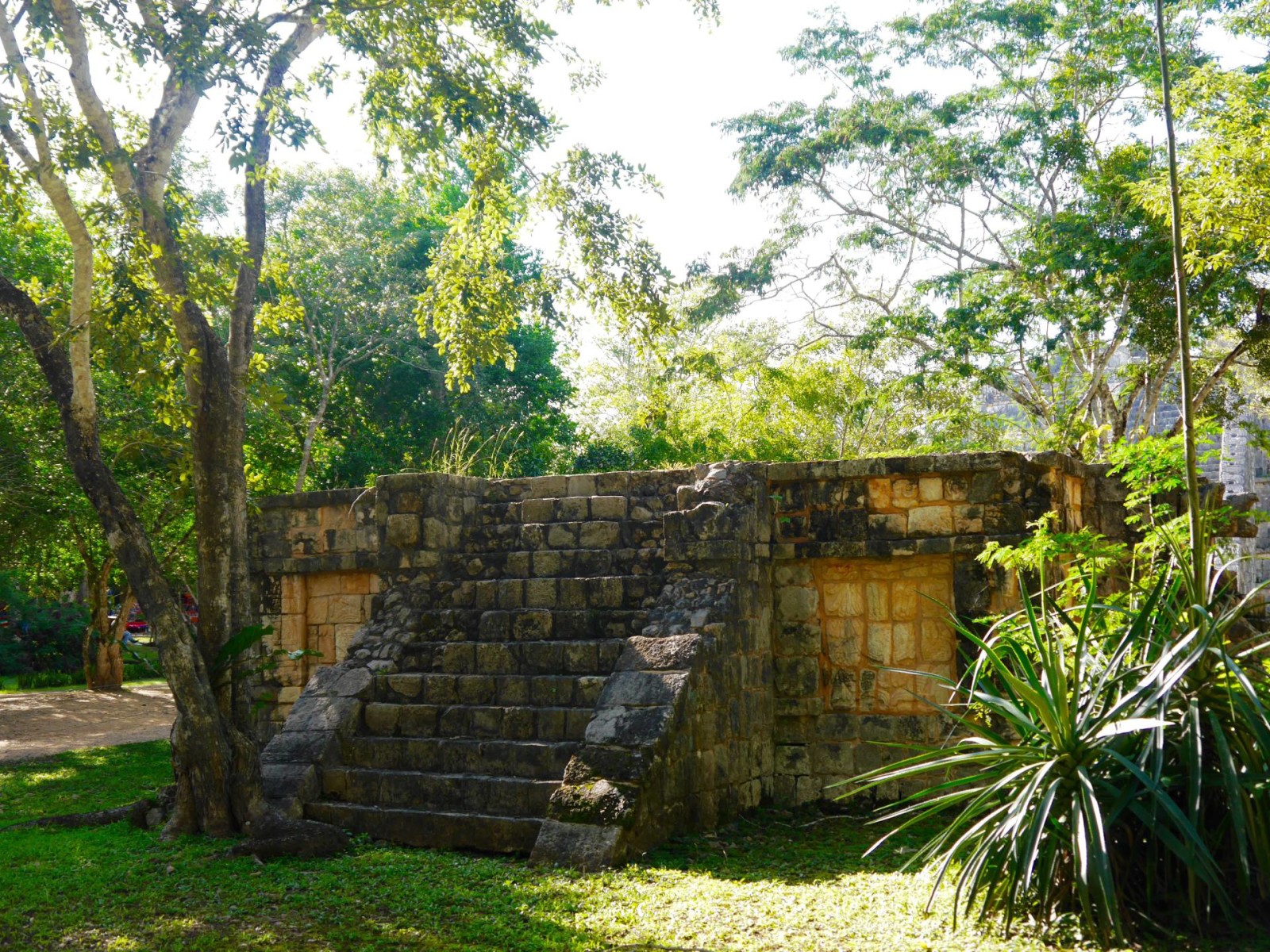 chichen-itza-mexico-jungle