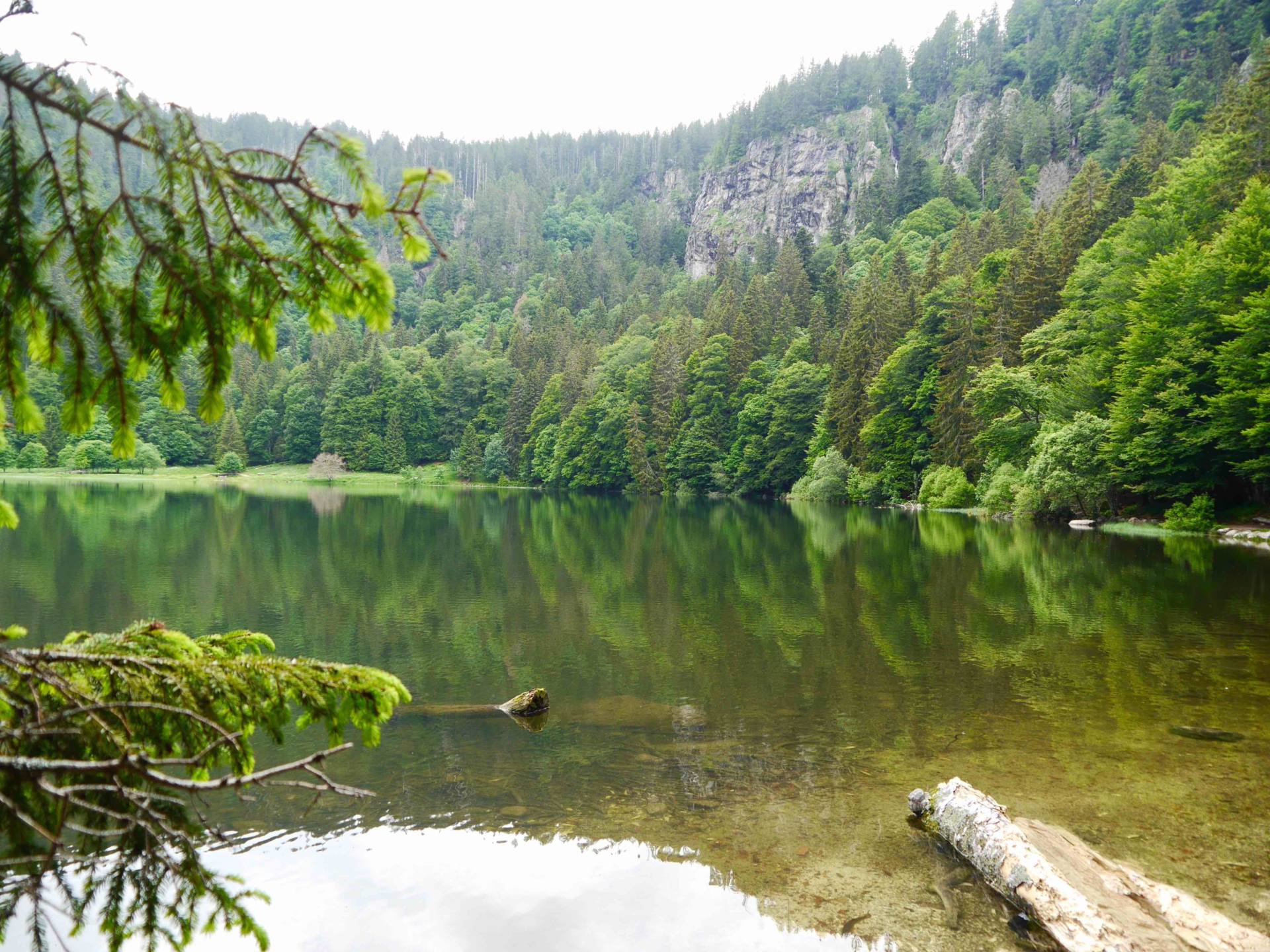 Feldsee Lake | Black Forest Itinerary