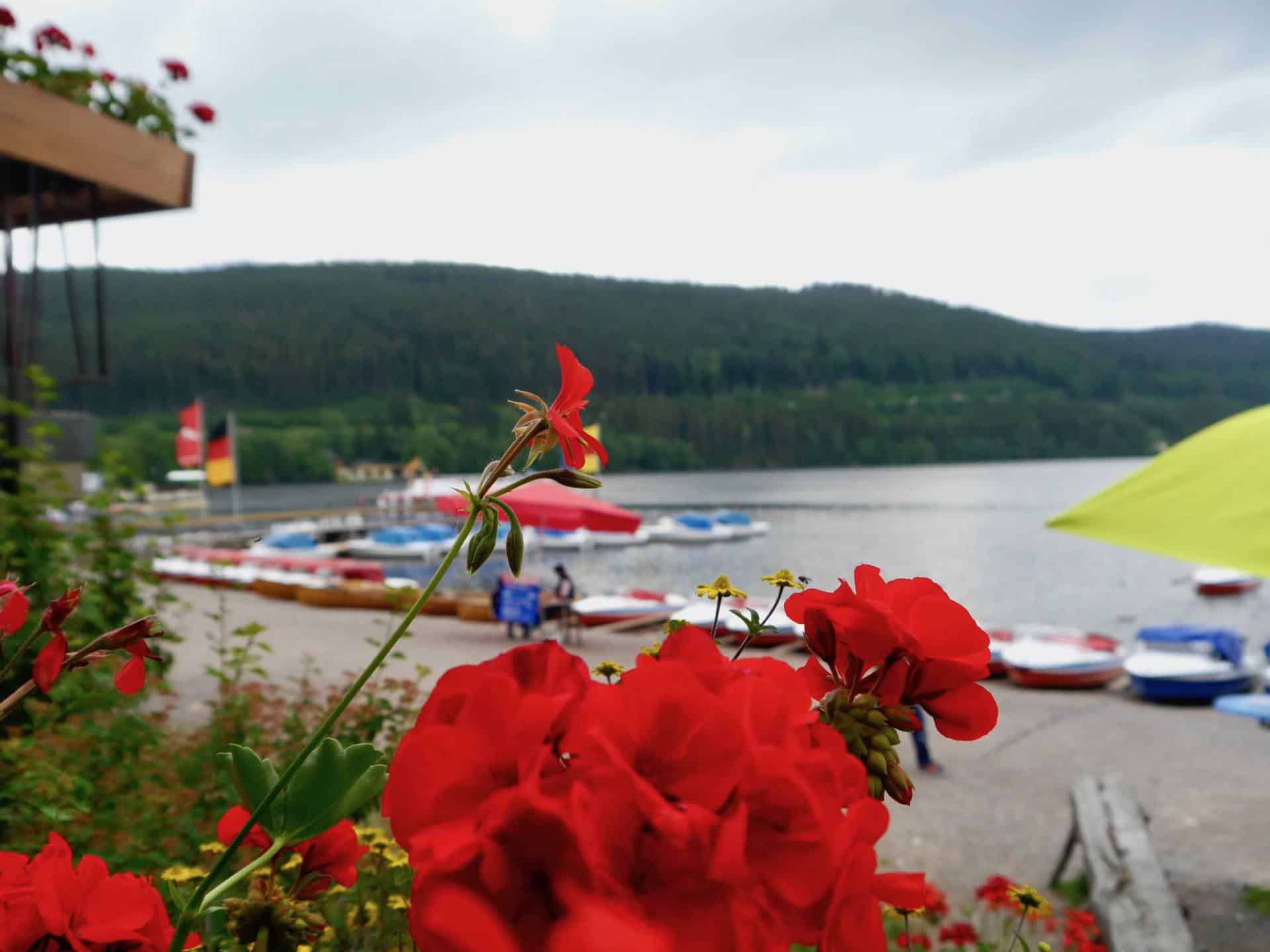 Lake Titisee, Germany