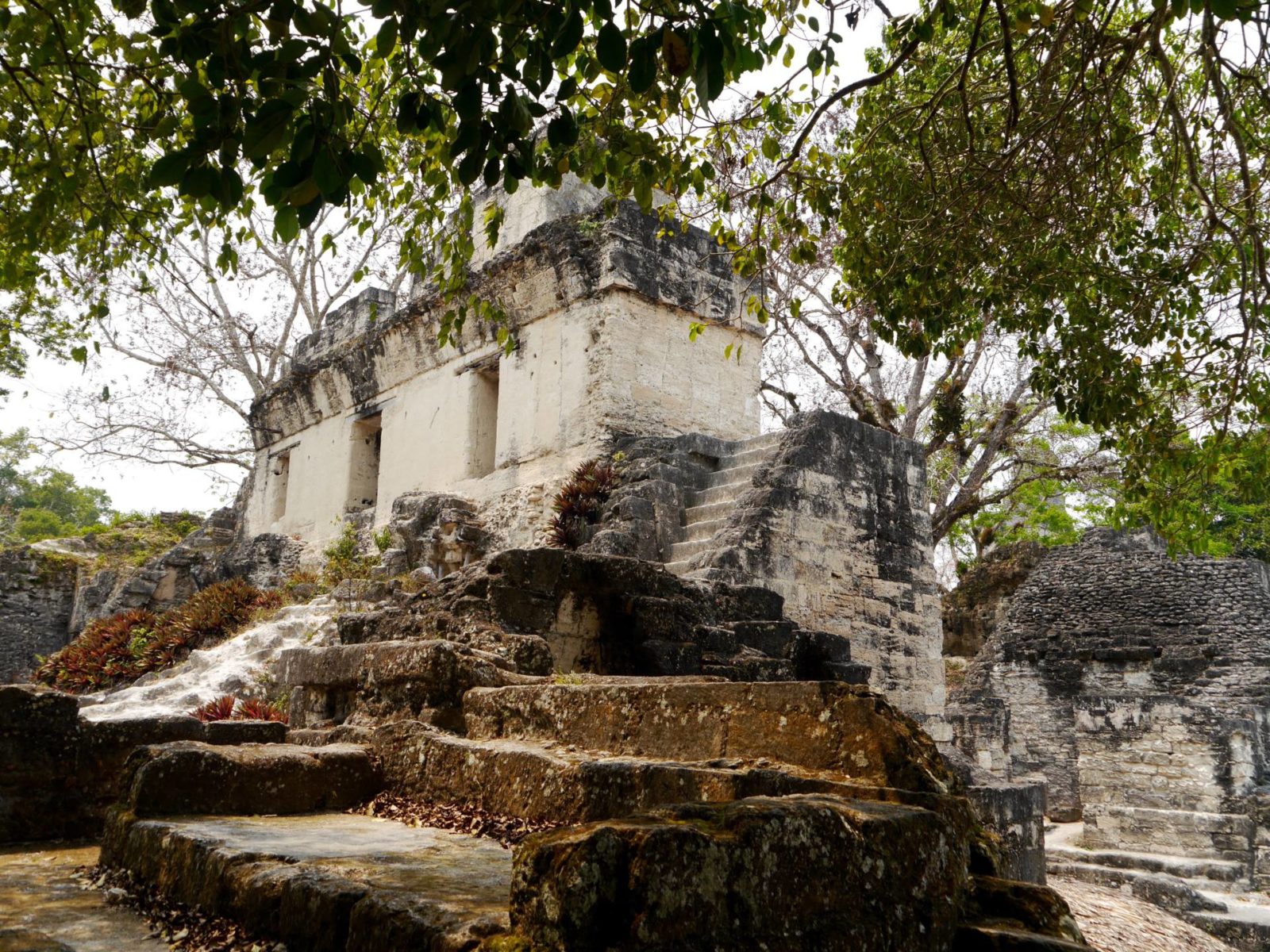 tikal-guatemala3