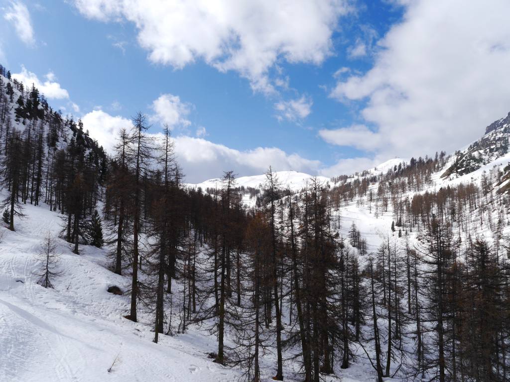 montgenevre-france-skiing-piste