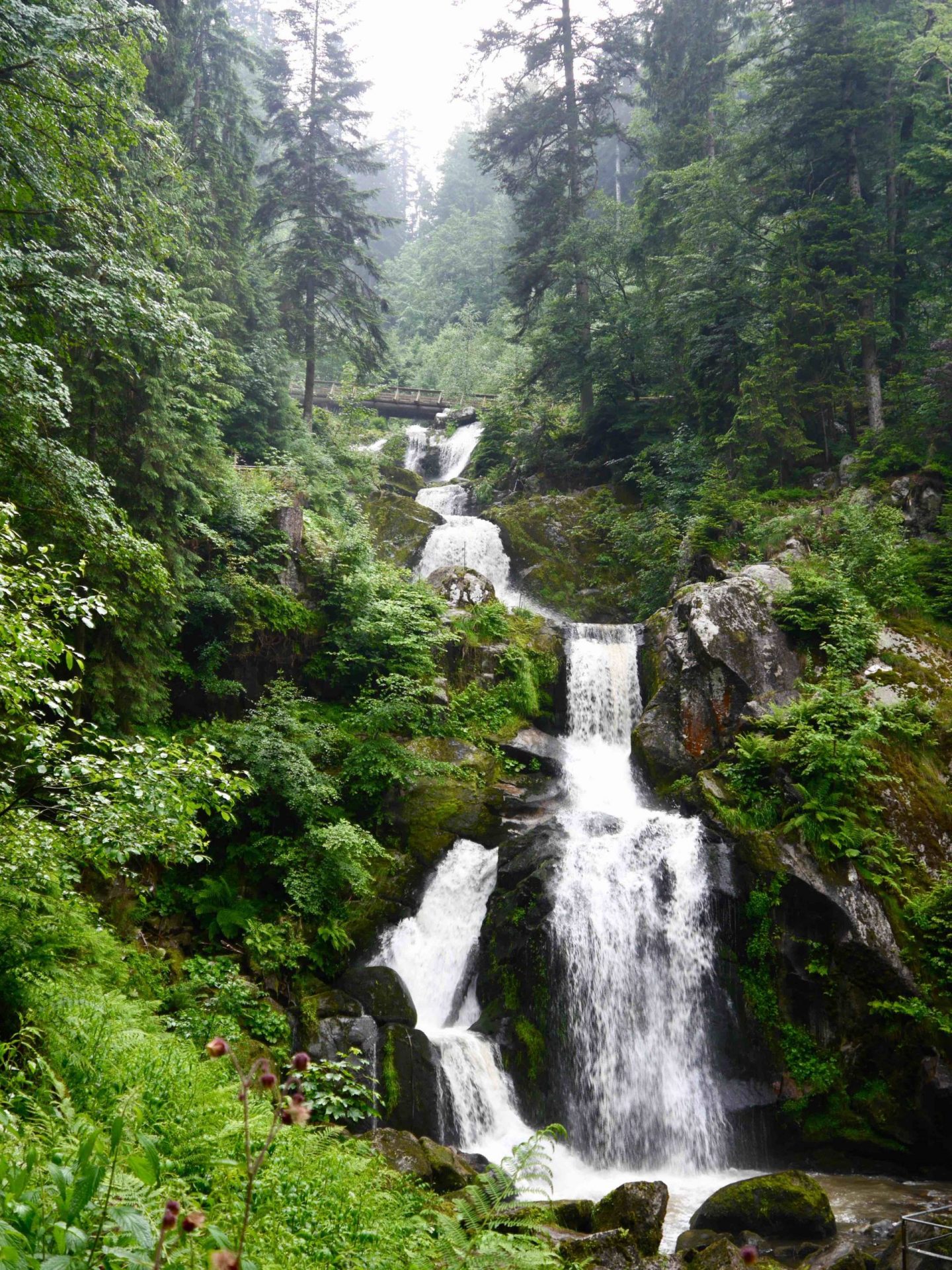 Triberg Waterfalls | Things to do in the Black Forest