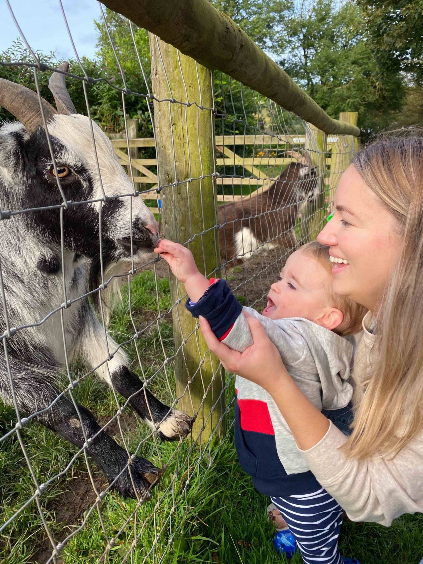 Staying at Decrease Campscott Farm in North Devon