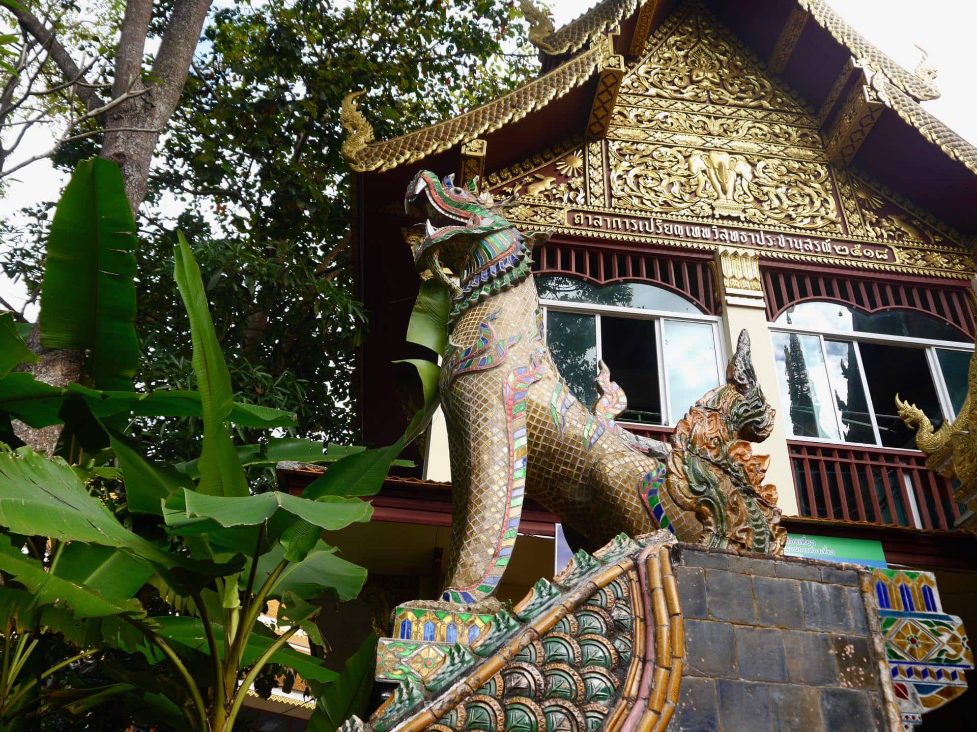 Retracing Footsteps in Chiang Mai, Thailand