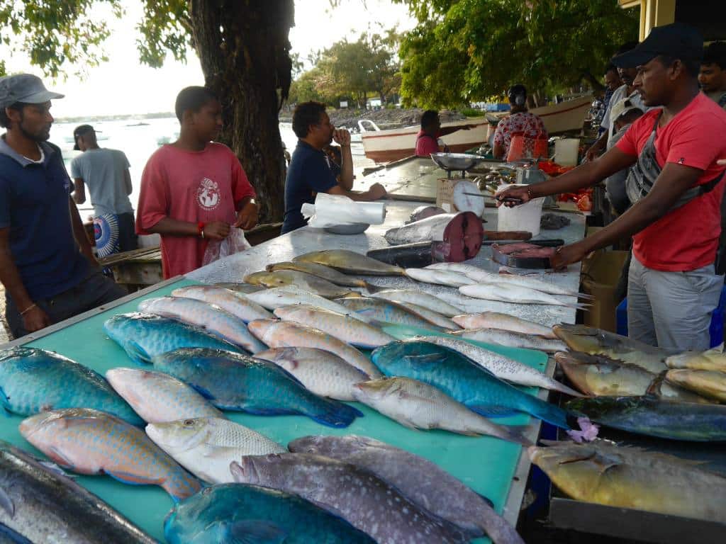 grand-baie-fish-market-mauritius