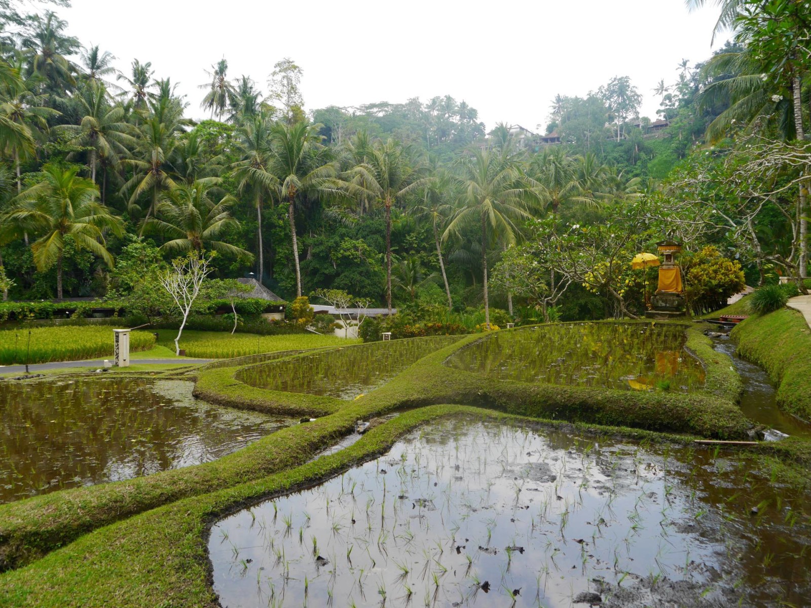 four-seasons-sayan-ubud-bali-7