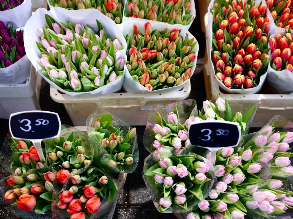 Colourful tulips at Amsterdam's Bloemenmarkt - The Most Instagrammable Places in Amsterdam