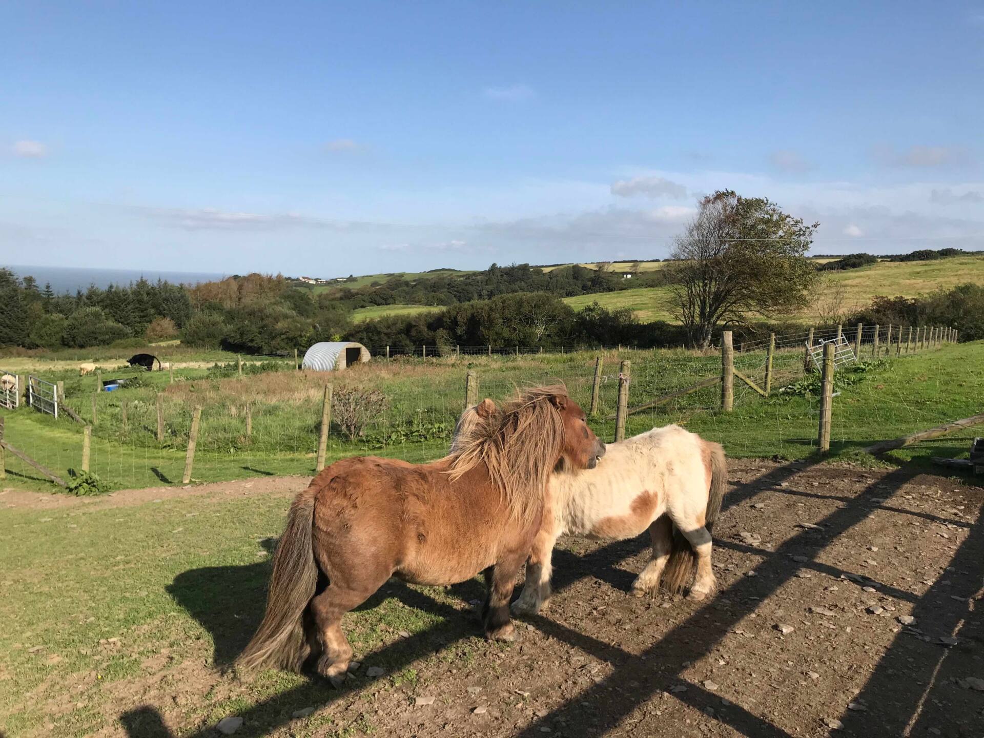 Staying at Decrease Campscott Farm in North Devon