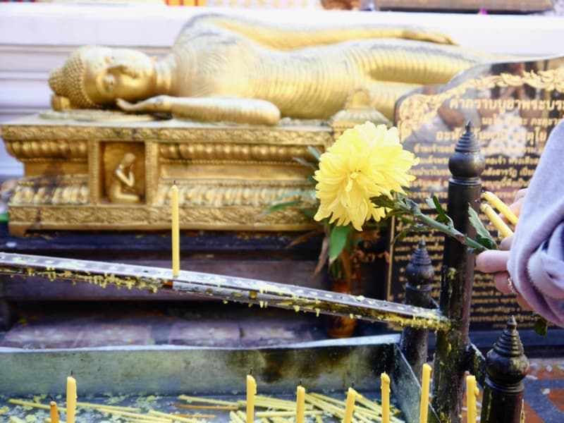 Retracing Footsteps in Chiang Mai, Thailand