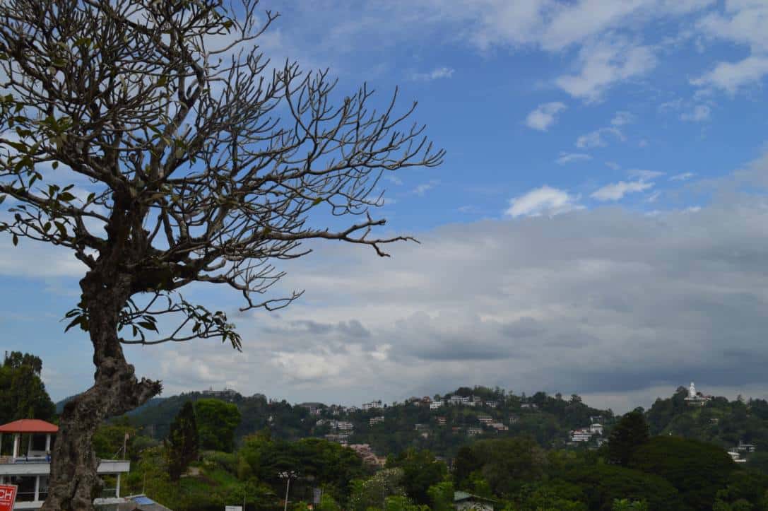 kandy-view