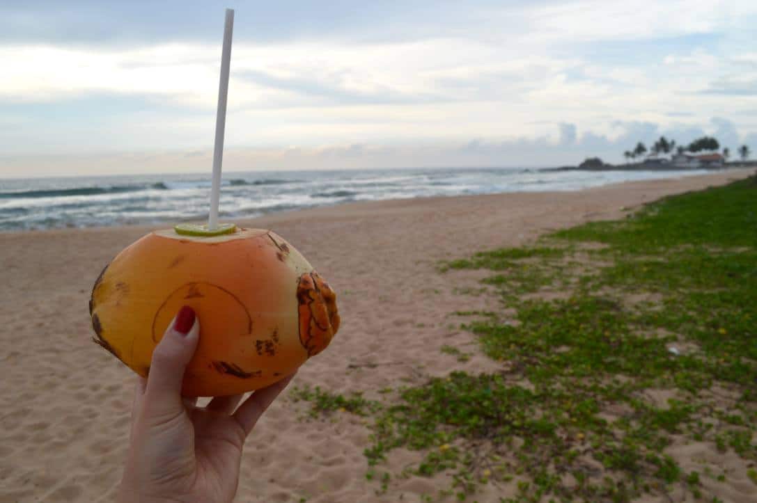 coconut-beach-sri-lanka-ahungalla