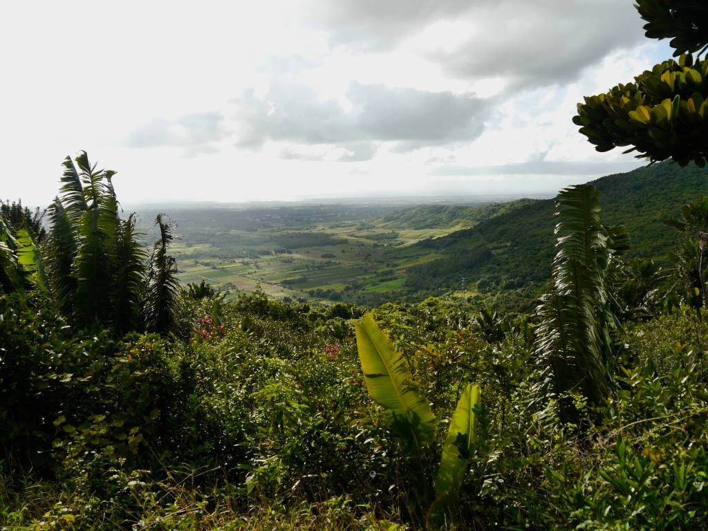 mauritius-salaze