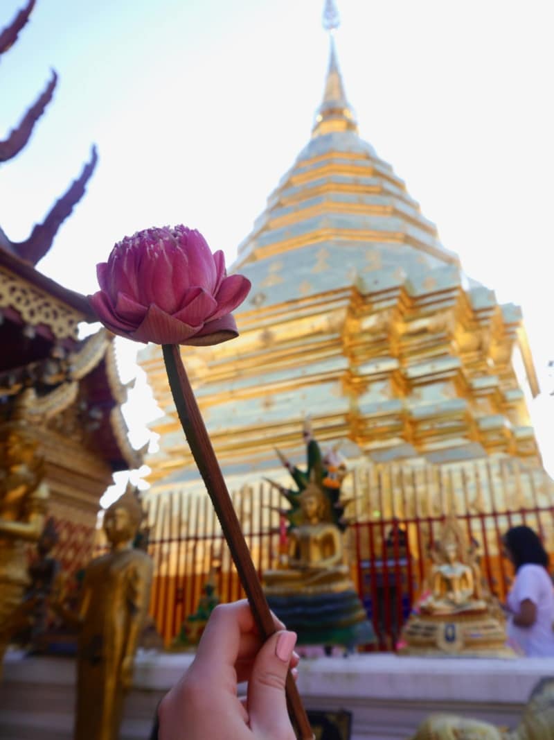 Retracing Footsteps in Chiang Mai, Thailand