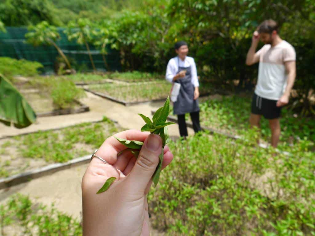 six-senses-ninh-van-bay-vietnamese-cooking-class