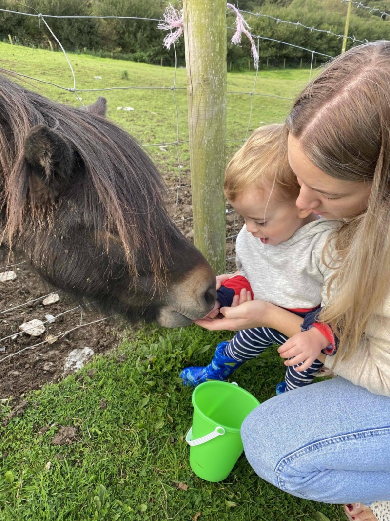 Staying at Decrease Campscott Farm in North Devon