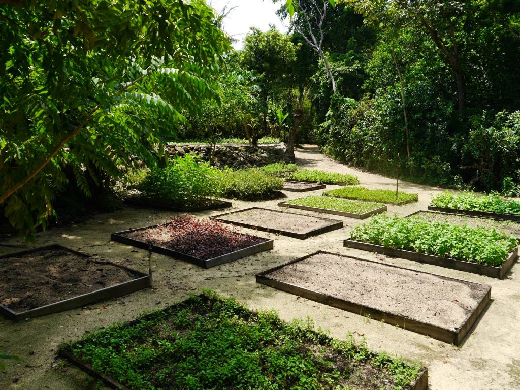 six-senses-ninh-van-bay-vietnamese-cooking-class1