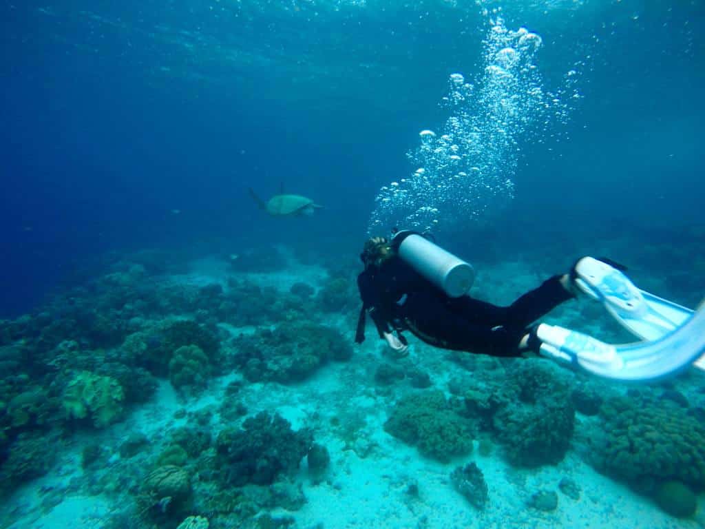 scuba-diving-sea-turtle-moalboal-philippines1