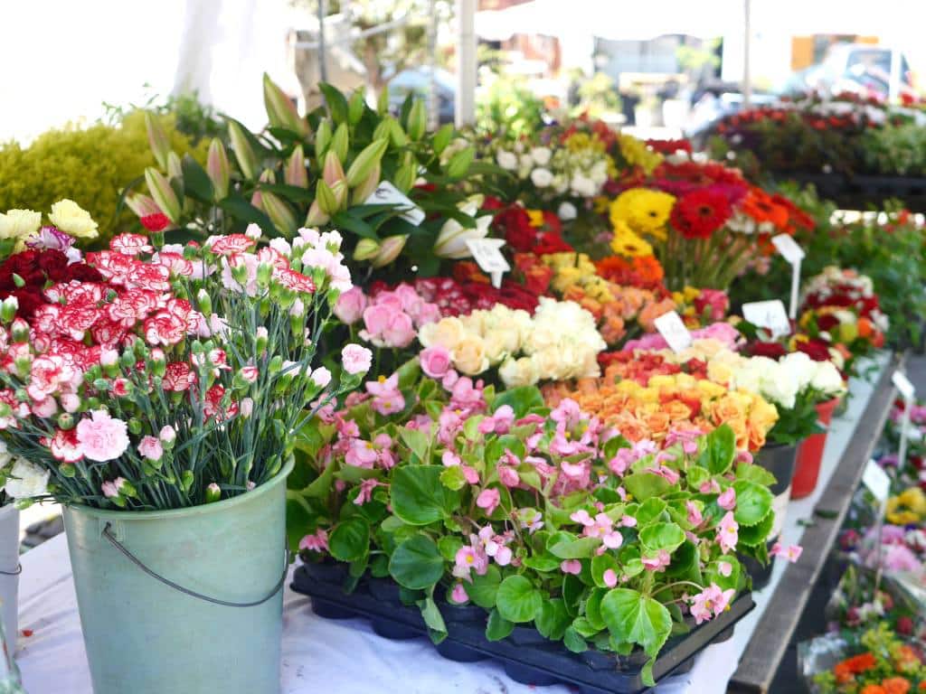 flower-market-graz