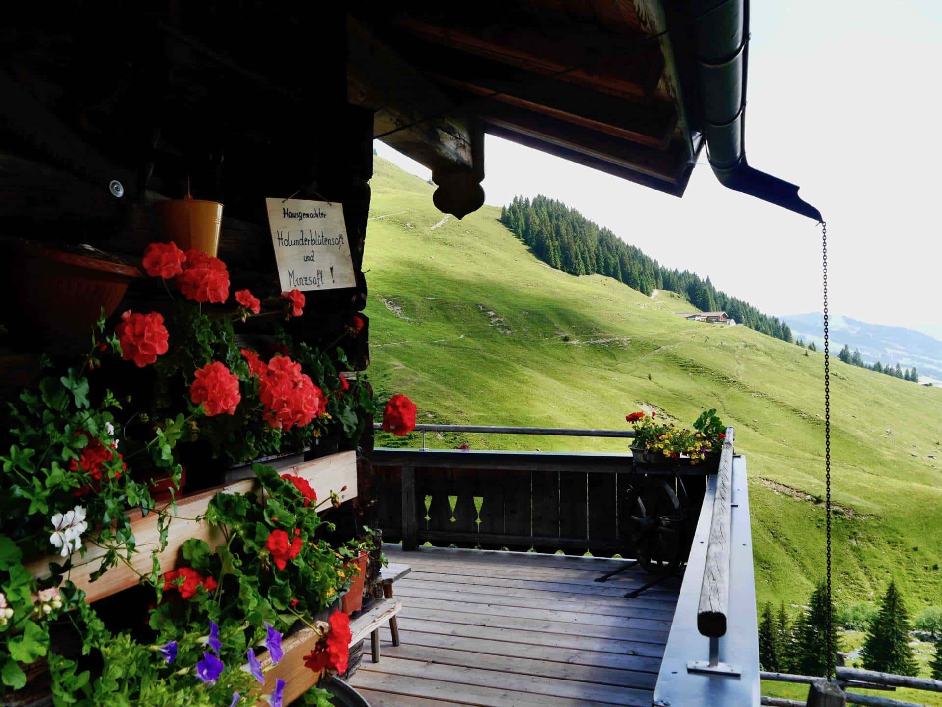 Austrian Alps in Summer | Saalbach Hinterglem